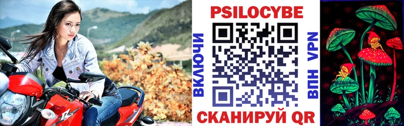 где продают наркотики  Соль-Илецк  Галлюциногенные грибы Psilocybine cubensis 